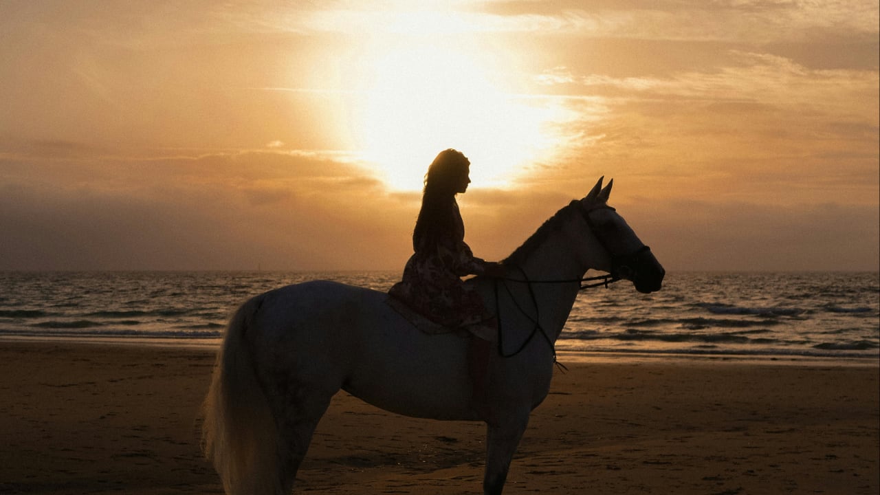 Horse Riding Holidays in Menorca